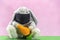 Plush Easter rabbit using mask and syringe to fight the covid-19