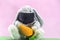 Plush Easter rabbit using mask and syringe to fight the covid-19