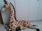 Plush giraffe in a white baby room