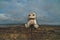 plush old toy sits on a barbed wire fence