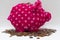 Plush Pink Piggy Bank and coins