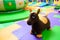 Plush rocking toy donkey on playground