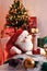Plush Santa Claus sitting at table, christmas tree