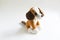 Plush soft toy dog brown with a white muzzle and paws, dark ears.