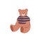 Plush teddy bear. Stuffed fluffy teddybear sitting. Childrens soft toy. Cuddly sweet cute doll animal in T-shirt. Flat