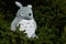 Plush Totoro toy character of mouse like good spirit of forest from movie My Neighbor Totoro by Hayao Miyazaki