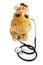 Plush toy giraffe with stethoscope