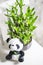 Plush toy panda, green bamboo plant in a pot on a white chair. Small plants in a vase to decorate the house and office