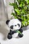 Plush toy panda, green bamboo plant in a pot on a white chair. Small plants in a vase to decorate the house and office