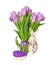 A plush toy rabbit sits with a bouquet of tulips and gift. Easter