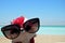 Plush toy of squirrel in female glasses on sunny beach of the Dead Sea in Israel