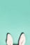 Plushy bunny ears on bright background. Easter minimal concept