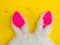 Plushy toy bunny rabbit ears. Happy easter concept. Yellow background. Easter minimal concept Picture with space for your text