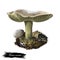 Pluteus cervinus or atricapillus, deer shield or fawn mushroom closeup digital art illustration. Boletus has light grey color.