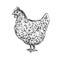 Plymouth Rock Chicken or Hen Side View Drawing