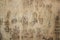 Plywood surface texture background.