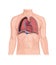 Pneumothorax, Human Anatomy, illustration, lungs, heart, Collapsed lung. abnormal collection of air