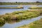 Po Delta - Group of white Flamingos with scenic view of Parco del Delta del Po in Veneto