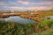 Po Delta Park, Veneto, Italy: landscape of the swamp with a flock of pink flamingos