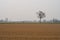 Po valley fields panorama landscape crops winter wintry rest feeling effect italy italian