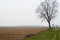 Po valley fields panorama landscape crops winter wintry rest feeling effect italy italian