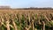 Po Valley Italy landscape sun sky clouds feeling