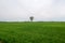 Po valley Pianura Padana panorama landscape fields meadow cultivation agriculture nature agricultural work farmhouse farm natural