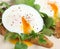 Poached Eggs on Toast with Watercress