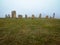 POCATKY, CZECH REPUBLIC: November 9, 2018: Menhir circle in foggy autumn nature