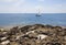 Pockets of sea salt in limestone rocks, sailboats on Palma bay.