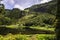 Poco da Ribeira do Ferreiro, Flores island, Azores, Portugal.