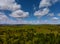 Pocono Mountains Pennsylvania landscape with green meadow and forest