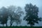 Poconos Mountains, Pennsylvania, USA: Benches and trees are silhouetted in the morning mist