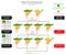 Pod Color Genetic Trait Pea Plant Mendel Experiment Infographic Diagram