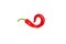 Pod of hot chili pepper in a curved shape like a question mark, isolated