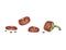 Pod of red chili peppers cut in rings, engraving vector illustration isolated.