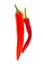 Pod of red pepper hot chili curved mix of peppers bright vegetable on white background