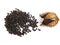 Pod and seeds of Jimson Weed, Datura stramonium