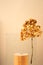 Podium for exhibitions and product presentations, material glass, dried flower. Beautiful beige background made from
