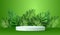 Podium in green background with tropical leaves. Abstract scene. Product presentation, mockup, show podium, stage