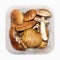 Podosinoviki and podberezoviki mushrooms.Fresh aspen mushrooms