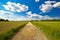 Podravina region green landscape and country road view