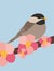 Poecile is a genus of birds in the tit family Paridae. Poecile in the spring illustration. Cherry blossom
