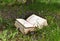 Poem book on field with purple flowers