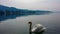 Poertschach - A swan crossing the lake Woerth in Austria during the sunset. The lake is surrounded by high Alps. Calm surface