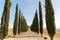 Poggio Covili cypresses avenue tuscany italy