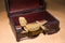 Pogona vitticeps lizard. Australian bearded dragon lizard. Agama lizard lies in an open treasure chest on a sand background. close