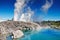 Pohutu Geyser, New Zealand