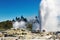 Pohutu Geyser, New Zealand