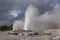 Pohutu Geyser, Rotorua, New Zealand